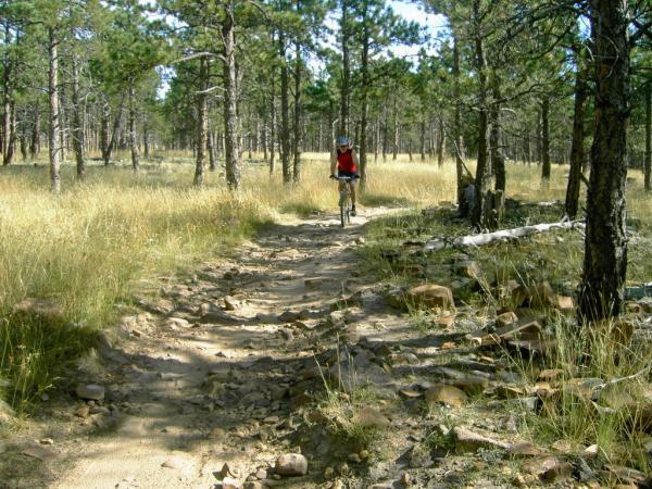 Person riding a mountain bike along a rugged trail in a forest, surrounded by tall trees and grassy areas. Heil Valley Ranch mountain bike trail.
