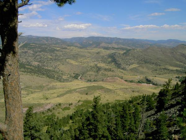 A scenic view of a mountainous landscape featuring rolling hills, valleys, and distant peaks under a partly cloudy sky. Pine trees are visible in the foreground, framing the expansive view of the terrain below, which is a mix of green vegetation and open fields. Heil Valley Ranch mountain bike trail.