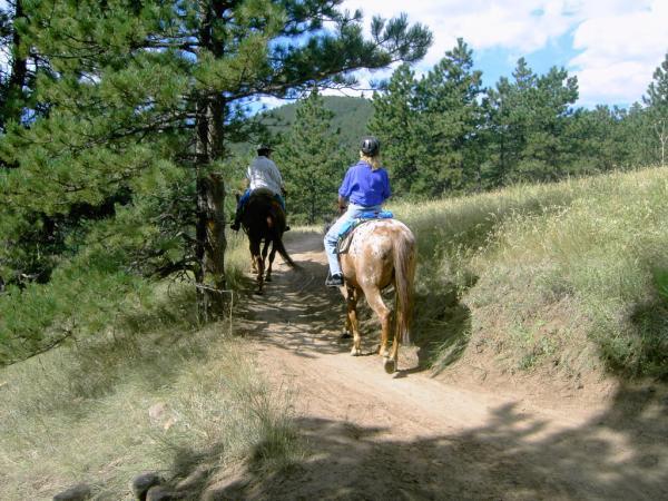 Two riders on horseback follow a dirt trail through a wooded area, surrounded by green grass and tall pine trees. The scene is set on a sunny day with a blue sky and scattered clouds. Heil Valley Ranch mountain bike trail.
