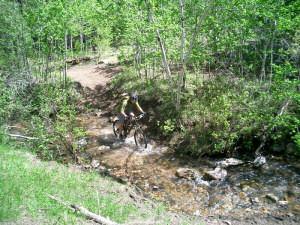 A mountain biker navigating through a shallow stream in a forested area, surrounded by lush greenery and trees. Indian Creek Loop mountain bike trail.