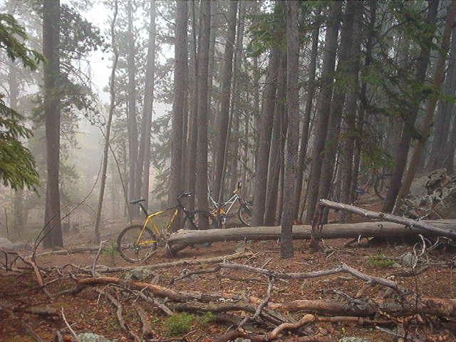 Two mountain bikes are leaning against a fallen log in a dense, foggy forest. Tall trees with thick trunks surround the scene, and the ground is covered with fallen branches and pine needles. The atmosphere is serene and slightly mysterious due to the mist that hangs in the air. Golden Gate Canyon State Park mountain bike trail.
