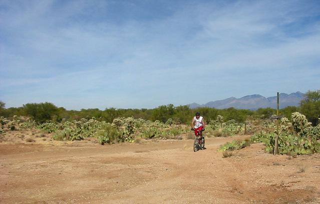 A person riding a bicycle along a dirt path in a desert landscape, surrounded by cacti and shrubs, with distant mountains under a blue sky. Fantasy Island mountain bike trail.