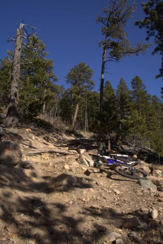A rocky hiking or biking trail surrounded by tall trees and blue sky, with a bicycle resting on the ground among loose stones and dirt. Golden Gate Canyon State Park mountain bike trail.