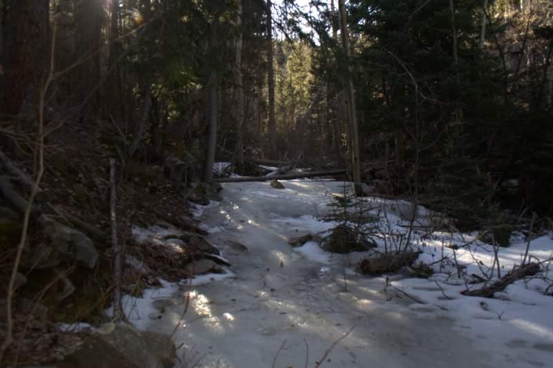 A narrow, partially frozen stream winds through a forest, surrounded by tall trees and scattered rocks. Sunlight filters through the canopy, casting a warm glow on the icy surface and silhouetting the trees against the backdrop of the distant hillside. Golden Gate Canyon State Park mountain bike trail.