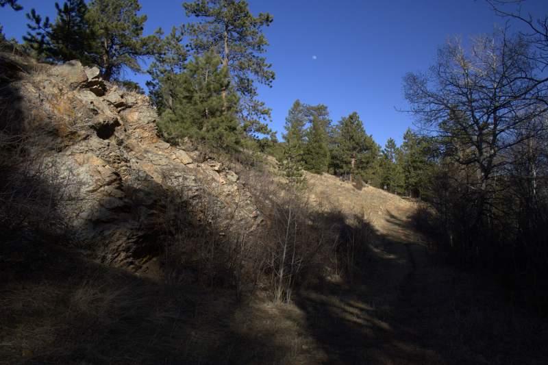 A narrow dirt path leading through a forested area, flanked by rocky outcrops and tall pine trees under a clear blue sky. The scene captures the natural beauty and rugged terrain of the landscape. Golden Gate Canyon State Park mountain bike trail.