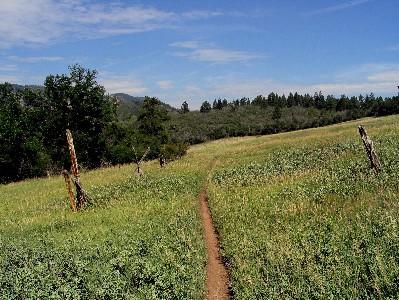 A scenic view of a grassy pathway winding through a meadow, bordered by trees and hills under a blue sky with scattered clouds. Indian Creek Loop mountain bike trail.