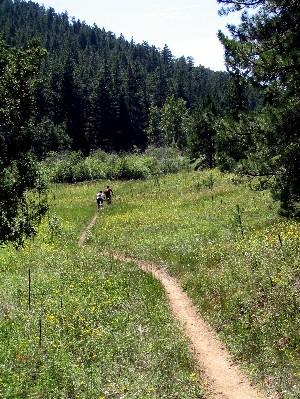 A dirt path winding through a green field, surrounded by trees and a forest in the background. Two people are walking along the trail, enjoying the outdoors on a sunny day. Indian Creek Loop mountain bike trail.