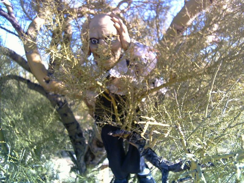 A close-up photograph of a small figure with an exaggerated facial expression hidden among the branches of a tree. The figure appears to be wearing a suit, with visible white shirt and black pants, and is partially obscured by dry, spiky foliage. The background features a clear blue sky. Fantasy Island mountain bike trail.