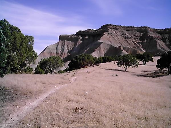 A scenic view of a dry, grassy landscape featuring a winding dirt path leading towards a rocky cliff formation. Sparse trees dot the area, with a clear blue sky overhead. The terrain appears arid, showcasing geological layers in the cliff. Zippety Do Dah mountain bike trail.