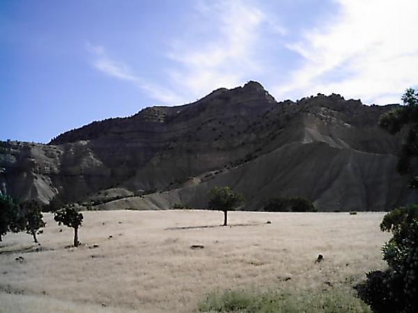 A scenic landscape featuring rolling hills and rugged mountains under a bright blue sky. In the foreground, a grassy plain with a few scattered trees contrasts with the rocky terrain in the background. The sun casts shadows on the slopes, highlighting the natural contours of the land. Zippety Do Dah mountain bike trail.