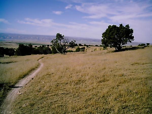 A scenic view of a grassy landscape with a winding dirt path, flanked by a couple of trees. The sky is partly cloudy, and distant hills are visible in the background, suggesting a tranquil outdoor setting. Zippety Do Dah mountain bike trail.