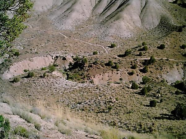 A panoramic view of a rugged, arid landscape featuring rolling hills with light-colored soil and sparse vegetation. Small shrubs and grasses dot the terrain, and a winding dirt path can be seen traversing the slopes, leading through the undulating land. Zippety Do Dah mountain bike trail.