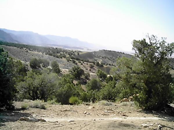 A panoramic view of a desert landscape featuring rolling hills, sparse vegetation, and distant mountains under a clear sky. The scene showcases a mix of green shrubs and dry earth, emphasizing the arid environment. Zippety Do Dah mountain bike trail.