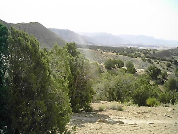 A scenic landscape featuring rolling hills and mountains under a bright sky. The foreground includes clusters of green shrubs and trees, while the background showcases a vast expanse of terrain, adding to the natural beauty of the setting. Zippety Do Dah mountain bike trail.