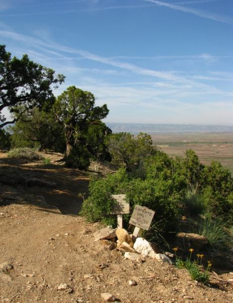 A dirt path leads through a landscape with green bushes and trees, with a sign partially visible on the ground. In the background, there is a view of a valley and distant hills under a clear blue sky with wispy clouds. Zippety Do Dah mountain bike trail.