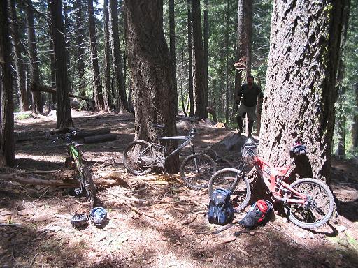 A forest setting with two mountain bikes parked near a large tree, surrounded by tall trees and natural ground cover. A person stands in the background, partially obscured by the trees, enjoying the outdoor environment. 1st / 2nd / 3rd Divide mountain bike trail.