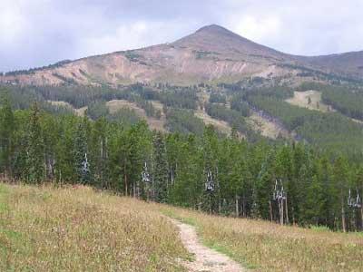 A scenic view of a mountain peak rising above a forested area, with a clear path winding through the open grassland in the foreground. The sky is partly cloudy, and the landscape showcases a mix of trees and rugged terrain. Pioneer Trail mountain bike trail.