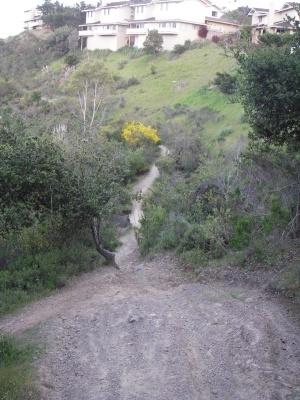 A dirt path winding through a hillside with lush greenery, leading uphill towards residential houses in the background. A bright patch of yellow flowers stands out amid the vegetation. The scene captures a blend of natural and developed landscapes. Water Dog Lake Park mountain bike trail.