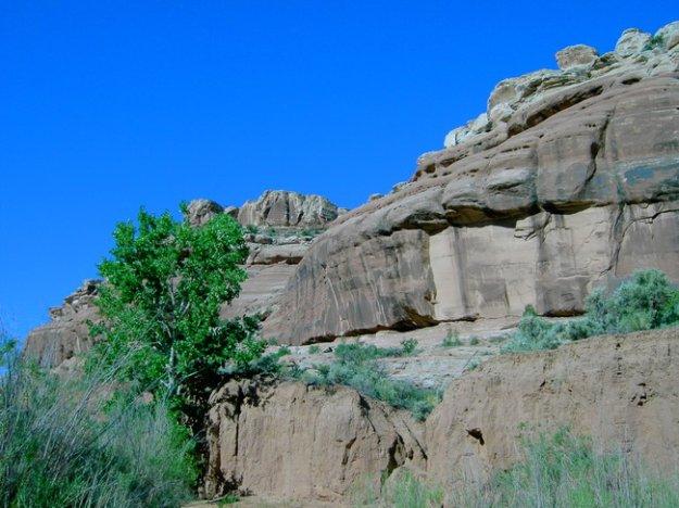 A rocky cliffside set against a clear blue sky, with a vibrant green tree in the foreground and sparse vegetation surrounding the rocky terrain. Monitor &amp; Merrimac/Courthouse Pasture mountain bike trail.