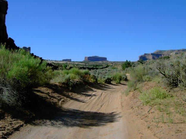 A sandy dirt path winding through a desert landscape, lined with shrubs and grasses, with flat-topped mesas visible in the background under a clear blue sky. Monitor &amp; Merrimac/Courthouse Pasture mountain bike trail.