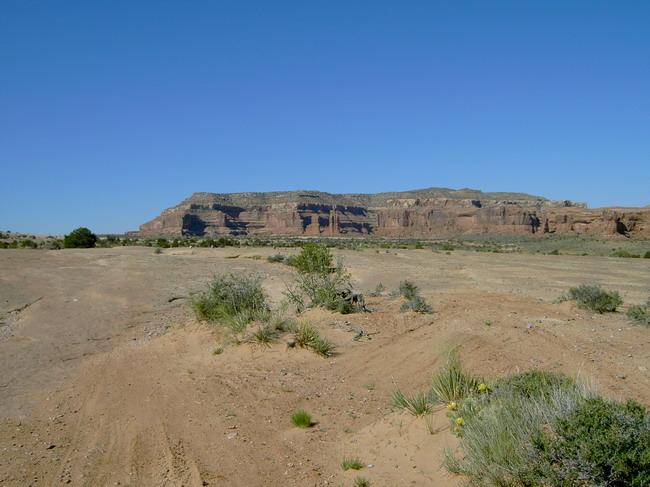 A wide view of a desert landscape featuring a flat terrain with sparse vegetation, including small bushes and grasses. In the background, a prominent plateau or cliff with layered rock formations stretches across the horizon. The sky is clear and blue, indicating a bright, sunny day. Monitor &amp; Merrimac/Courthouse Pasture mountain bike trail.