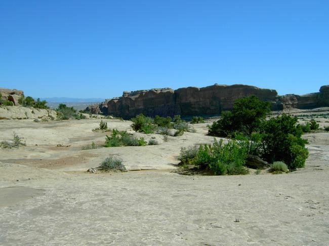 A arid landscape featuring rocky cliffs in the background, with a clear blue sky above. The foreground shows a flat, sandy area with patches of green shrubbery and small plants. The scene captures the natural beauty of a desert-like environment. Monitor &amp; Merrimac/Courthouse Pasture mountain bike trail.