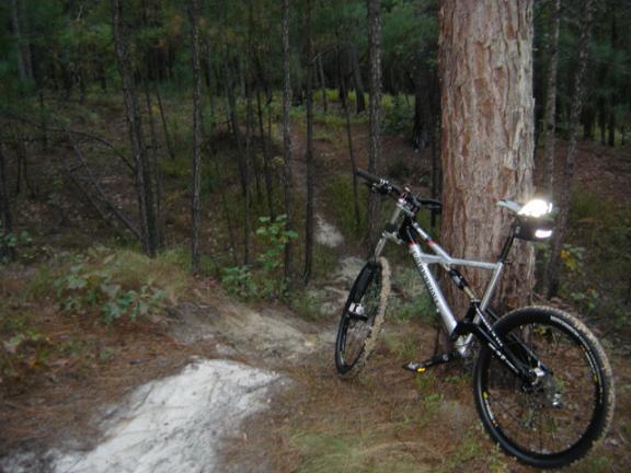 A mountain bike resting against a tree in a forested area, with a narrow dirt trail visible in the background. The lighting suggests it may be dusk or early morning, and the surroundings are filled with tall pine trees and underbrush. Bill Heffner Elementary School mountain bike trail.