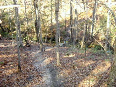 A wooded path winding through a forest with trees on either side, scattered with autumn leaves. A small creek is visible in the background, hinting at a serene natural environment. Bill Heffner Elementary School mountain bike trail.