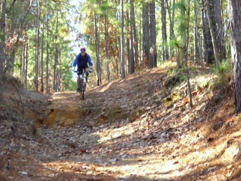 A mountain biker in a blue jacket rides along a dirt trail surrounded by tall trees, with fallen leaves scattered on the ground. The scene captures the essence of outdoor cycling in a wooded area. Bill Heffner Elementary School mountain bike trail.