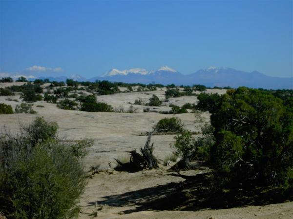 A wide, arid landscape with sparse vegetation and rocky terrain in the foreground, leading into distant snow-capped mountains under a clear blue sky. Monitor &amp; Merrimac/Courthouse Pasture mountain bike trail.