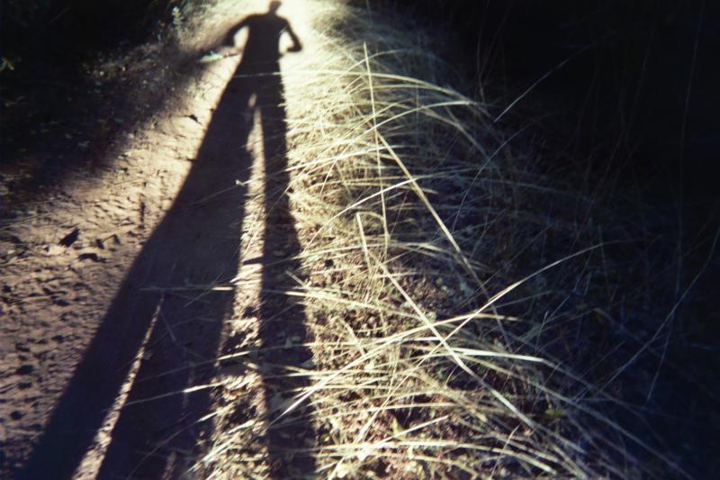 A long shadow of a person stretches across a dirt path surrounded by tall grass, with dappled light illuminating the scene from behind. Pioneer Trail mountain bike trail.