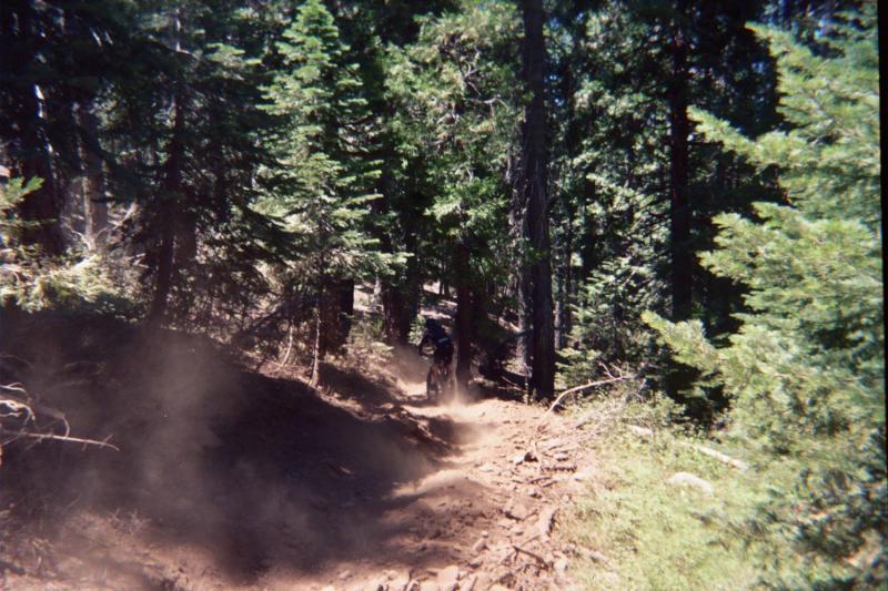 A mountain biker riding down a dusty trail through a forest of tall pine trees, with dust clouds trailing behind and sunlight filtering through the foliage. Downieville Downhill mountain bike trail.