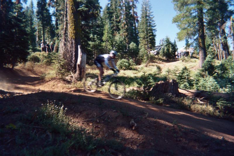 A mountain biker speeds along a dirt trail surrounded by tall trees and lush greenery, capturing the action and energy of outdoor cycling. Dust kicks up behind the bike as the rider navigates through the natural landscape. Downieville Downhill mountain bike trail.