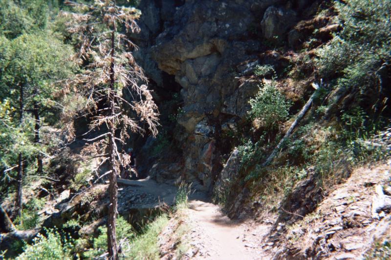 A narrow trail winding through a wooded area, flanked by rocky terrain and green foliage. A partially visible rocky outcrop looms in the background, suggesting a forested landscape with a mix of trees and underbrush. The pathway leads deeper into the natural surroundings, inviting exploration. Downieville Downhill mountain bike trail.