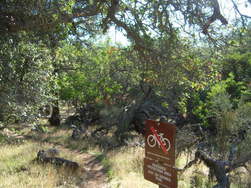 A narrow dirt trail leads through a sunlit forest, surrounded by greenery and scattered wildflowers. A sign is positioned along the path, clearly indicating "No Bicycles" and labeling the area as a resource protection zone with instructions to stay on the defined trail. Morgan Territory mountain bike trail.
