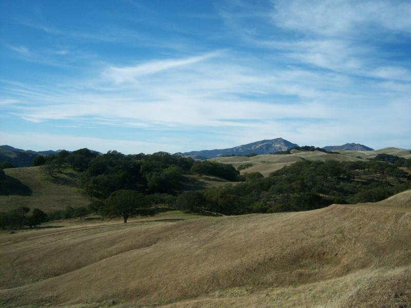 A panoramic view of rolling hills under a clear blue sky, featuring patches of trees and dry grasslands. In the background, a mountain range can be seen softly rising against the horizon. The landscape showcases a natural, serene environment. Morgan Territory mountain bike trail.