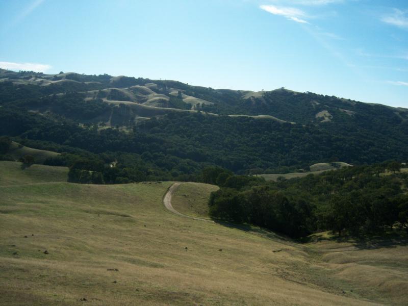 A scenic landscape featuring rolling hills and a winding dirt path that leads through a lush green area. The foreground consists of dry grasses, while the background showcases densely wooded hills under a clear blue sky. Morgan Territory mountain bike trail.