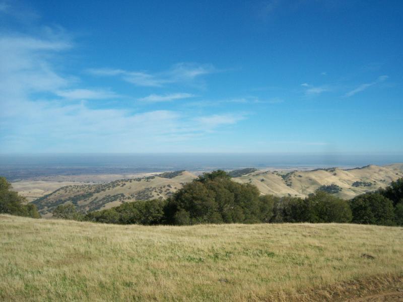 A panoramic view of rolling hills under a clear blue sky, with patches of green trees and dry grass in the foreground, stretching towards a distant horizon. Morgan Territory mountain bike trail.