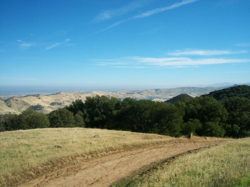 A scenic view of rolling hills under a clear blue sky, with a dirt path leading through a grassy area. Lush green trees are visible on the left, and distant hills stretch out towards the horizon. Morgan Territory mountain bike trail.