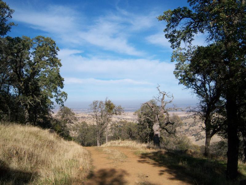 A scenic view from a hillside overlooking a valley, framed by large trees on either side. The foreground features a dirt path leading into the landscape, while the background displays a vast expanse of grassy hills and a bright blue sky with scattered clouds. Morgan Territory mountain bike trail.