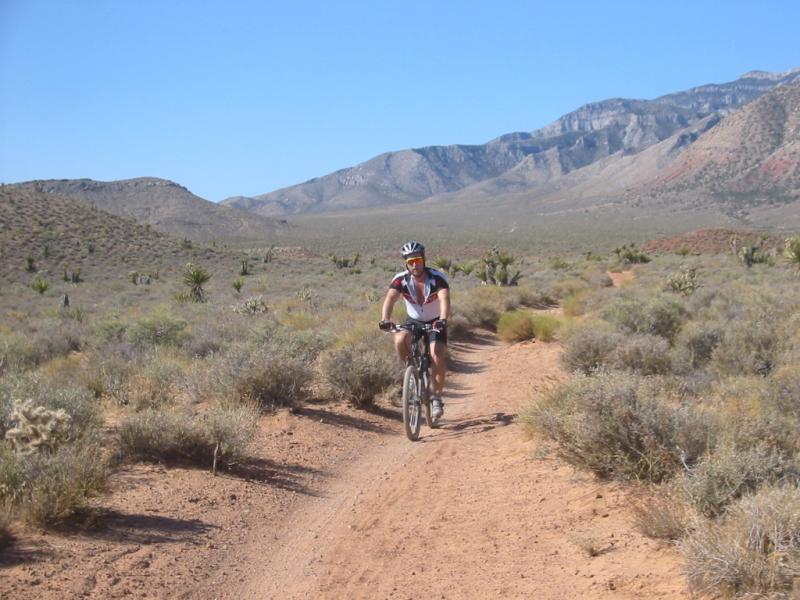 A person riding a mountain bike along a dirt trail in a desert landscape, with low shrubs and cacti in the foreground and mountains in the background under a clear blue sky. Blue Diamond mountain bike trail.