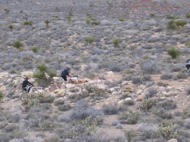 Mountain bikers navigating a rocky trail in a sparse desert landscape with low shrubs and cacti. Blue Diamond mountain bike trail.