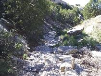 A dry, rocky creek bed surrounded by sparse vegetation and shrubs, with sunlight illuminating the scene. South Shore Lake Pueblo mountain bike trail.
