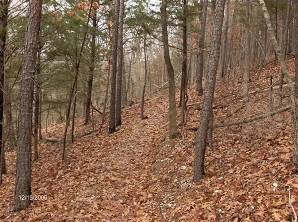 A narrow wooded path winding through a forest with trees on either side, covered in a layer of fallen leaves, indicating a tranquil, autumn setting. Syllamo Trails mountain bike trail.