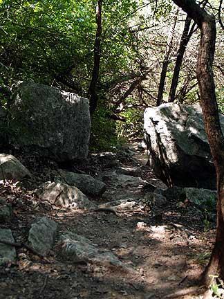 A narrow, natural pathway winding through a wooded area, flanked by large rocks and dense greenery. The sunlight filters through the trees, casting dappled shadows on the dirt path. Barton Creek Greenbelt mountain bike trail.