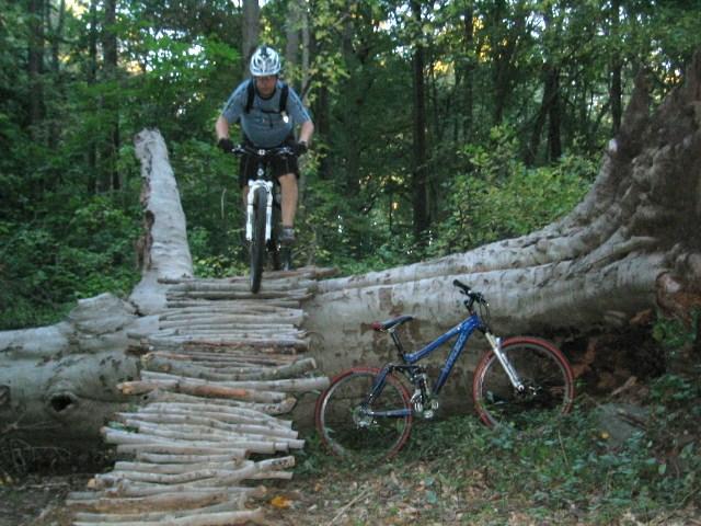 A mountain biker riding over a log bridge in a wooded area, with a blue mountain bike resting on the ground nearby. The scene captures a forest setting with greenery and sunlight filtering through the trees. Brandywine State Park mountain bike trail.