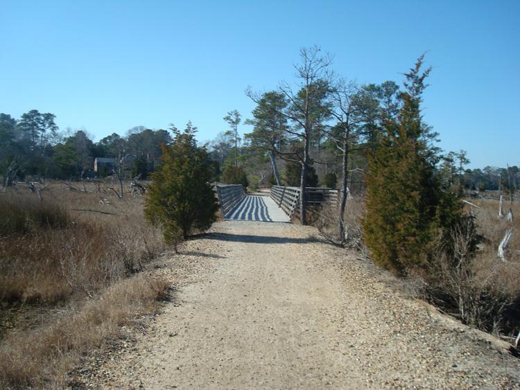 A dirt path leads to a wooden bridge surrounded by tall grass and sparse trees under a clear blue sky. The bridge appears to cross a wetland area, creating a tranquil outdoor scene. First Landing State Park mountain bike trail.