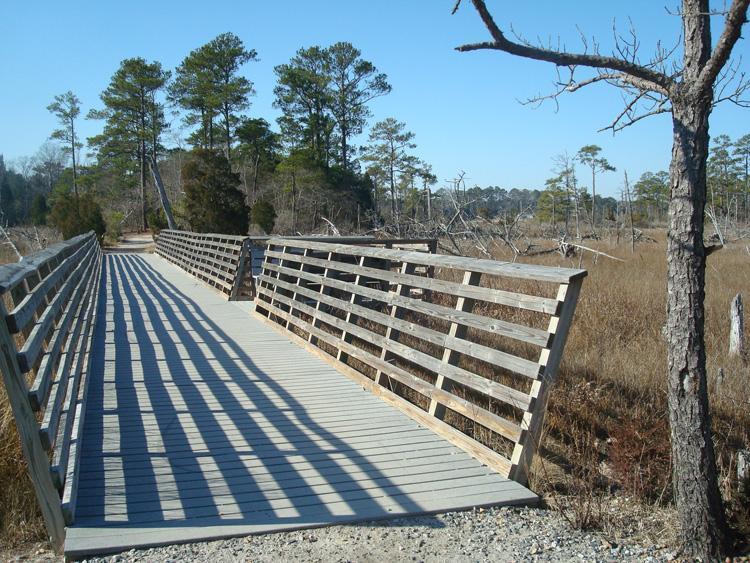 A wooden bridge leading through a marshy area, surrounded by tall trees and sparse vegetation under a clear blue sky. The bridge features a slatted railing, casting shadows on the path below. First Landing State Park mountain bike trail.