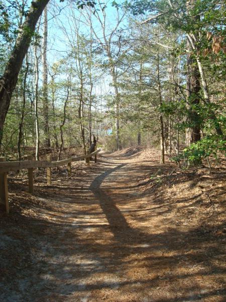 A winding dirt path meanders through a wooded area, bordered by trees with sparse leaves and a hint of greenery. Sunlight filters through the foliage, creating dappled shadows on the ground. A wooden railing follows the curve of the trail, which leads into the distance, inviting exploration into the natural surroundings. First Landing State Park mountain bike trail.