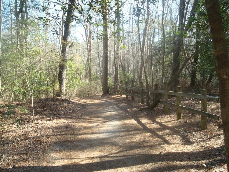 A sunlit pathway winding through a forest, surrounded by tall trees and a wooden fence. The ground is covered with fallen leaves, and the scene captures a tranquil atmosphere in a natural setting. First Landing State Park mountain bike trail.